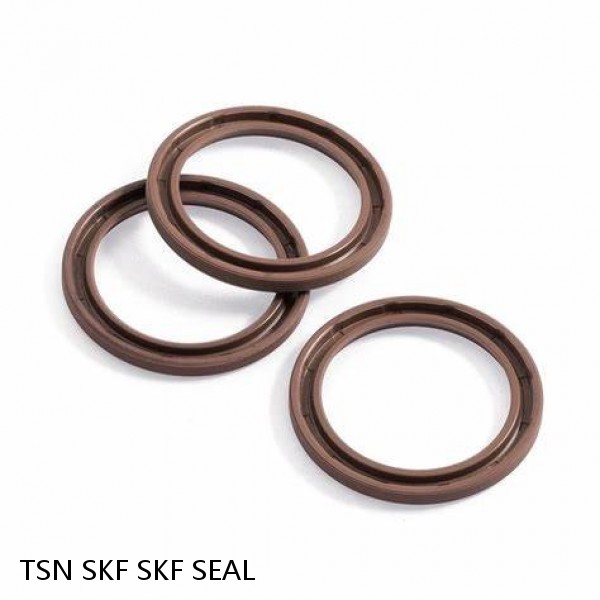 TSN SKF SKF SEAL