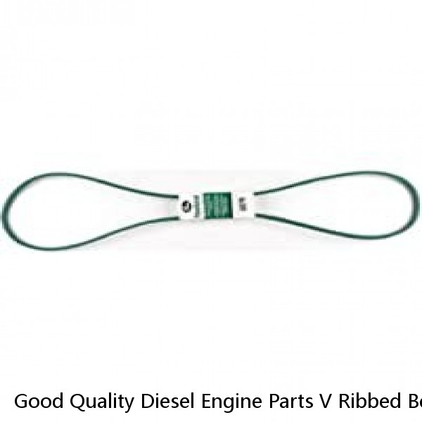 Good Quality Diesel Engine Parts V Ribbed Belt for Cummins 6L9.5 3288475