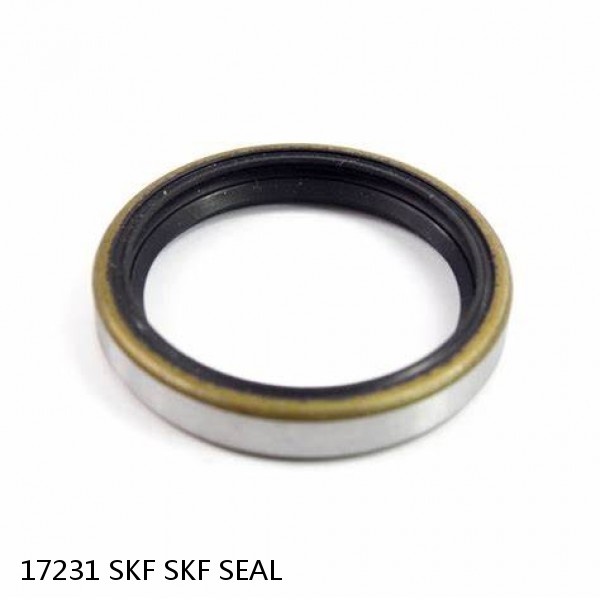 17231 SKF SKF SEAL #1 small image