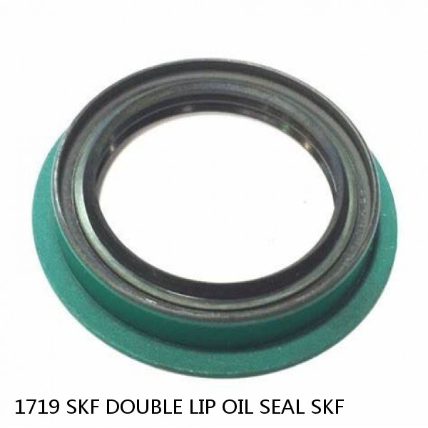 1719 SKF DOUBLE LIP OIL SEAL SKF #1 small image