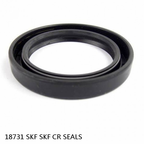 18731 SKF SKF CR SEALS