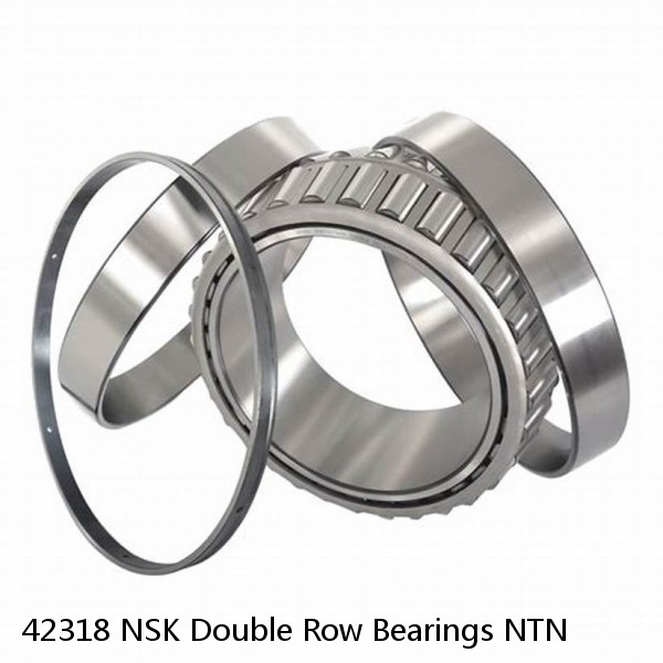 42318 NSK Double Row Bearings NTN  #1 image