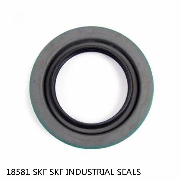 18581 SKF SKF INDUSTRIAL SEALS #1 image